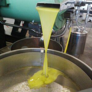 frangitura olio santa luce