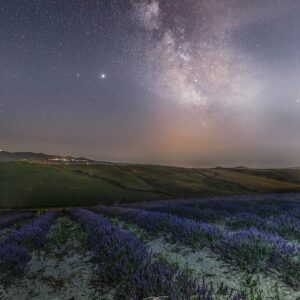 lavanda pieve santa luce
