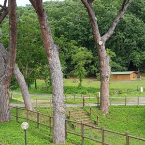 appartamenti il Giardino sospeso Riparbella