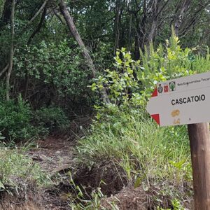 vacanza e bike riparbella toscana