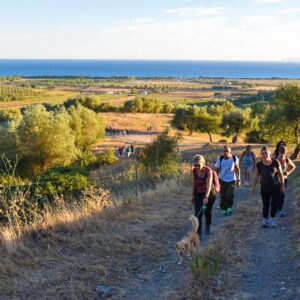 vacanze per il cane toscana