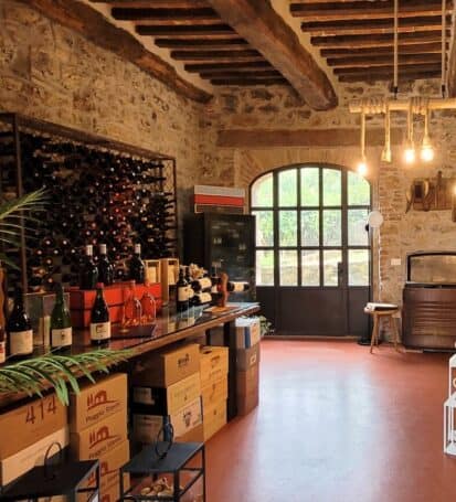 degustazioni vini agriturismo la via dell'olivera chiusdino toscana