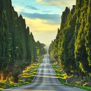 viale di bolgheri