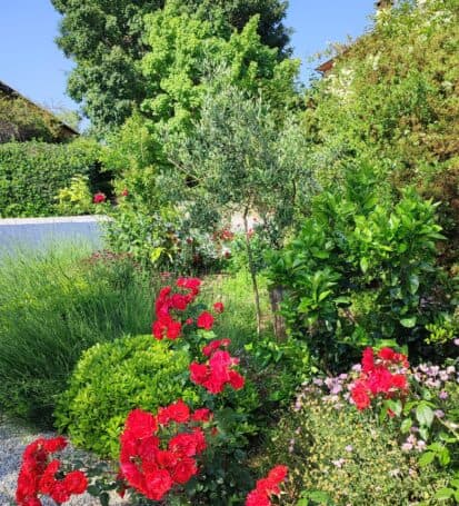 giardino botanico campastrello sport