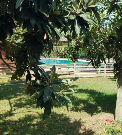 giardino vista piscina campastrello sport