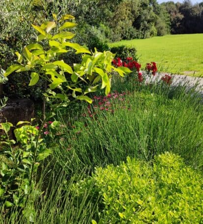 parco botanico campastrello sport