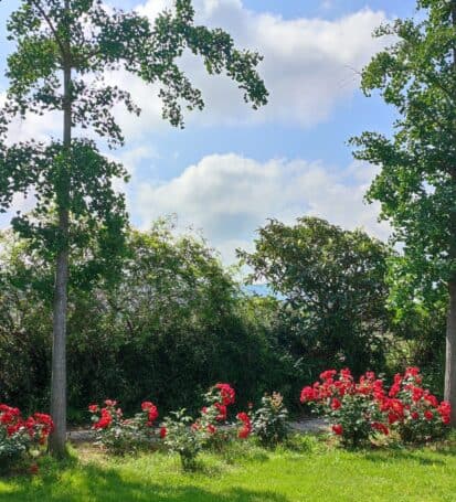 roseto orto botanico campastrello sport