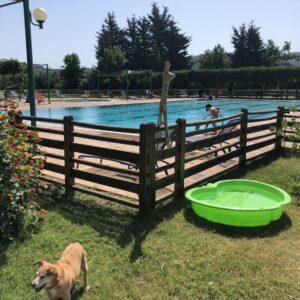 vacanza con il cane castagneto carducci campastrello sport