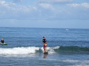 ASD TNT SURF SCHOOL place picture