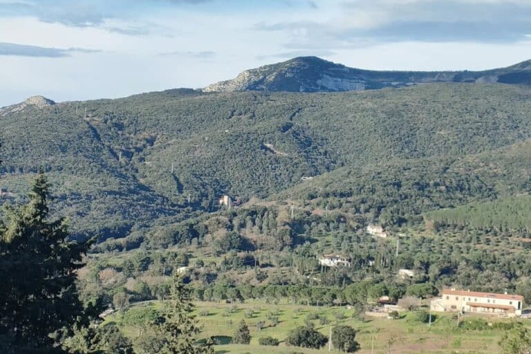 vista appartamento a suvereto localita prata