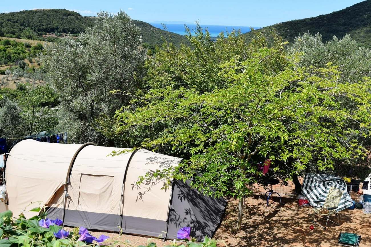 Piazzola per tenda al campeggio Blucamp a Campiglia Marittima, immersa tra gli ulivi con vista sul mare della Costa degli Etruschi.